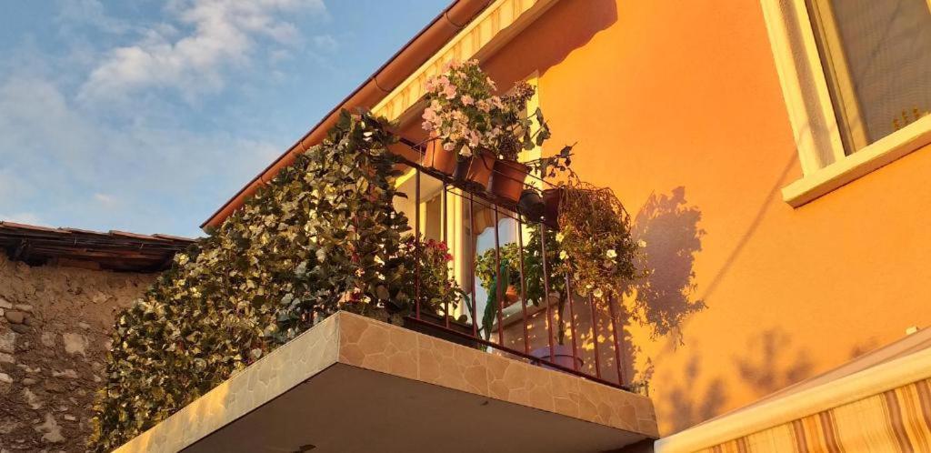 Old Town Rooms Podgorica Exterior foto